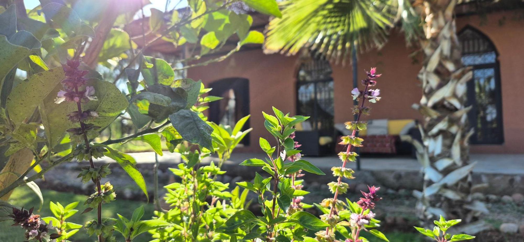 La Terra Rosa Hotel Douar Akkara Bagian luar foto